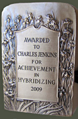 Hybridizer Medal